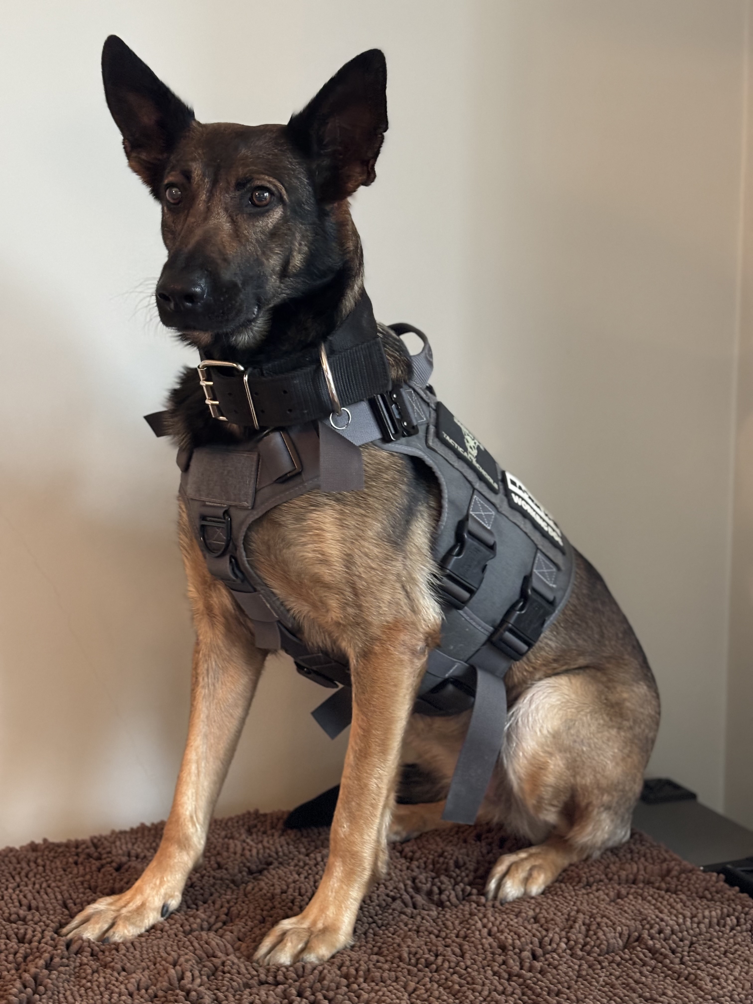 Kato – Security at K-W Property Management